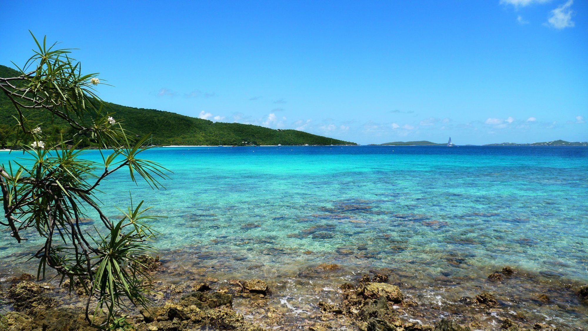 Caneel Bay Resort Cruz Bay 設備 写真