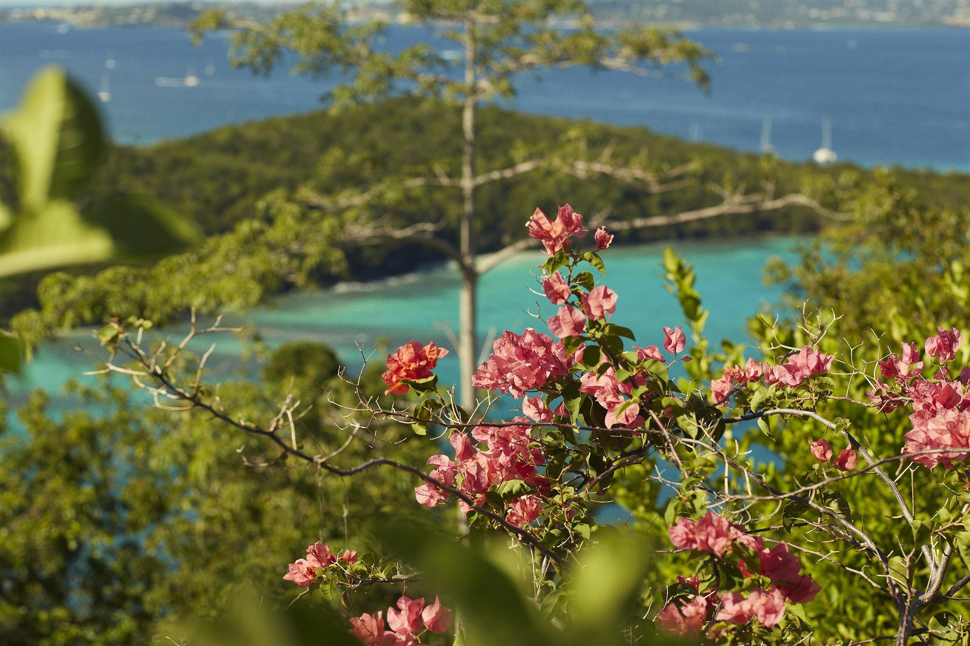 Caneel Bay Resort Cruz Bay エクステリア 写真